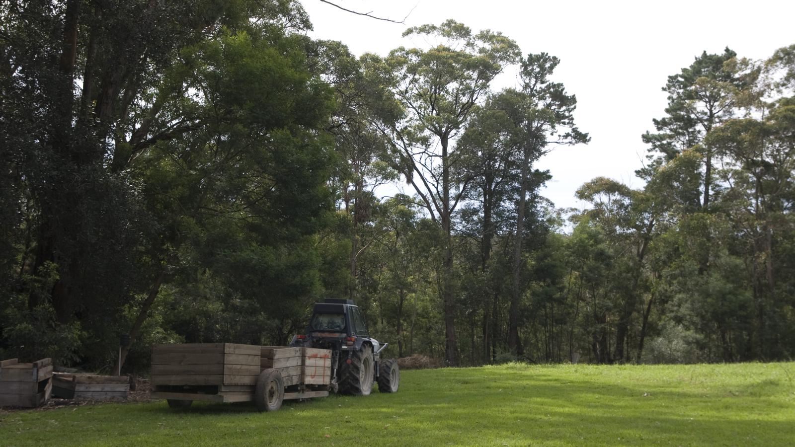 Rural landscape in Bilpin in the Hawkesbury region