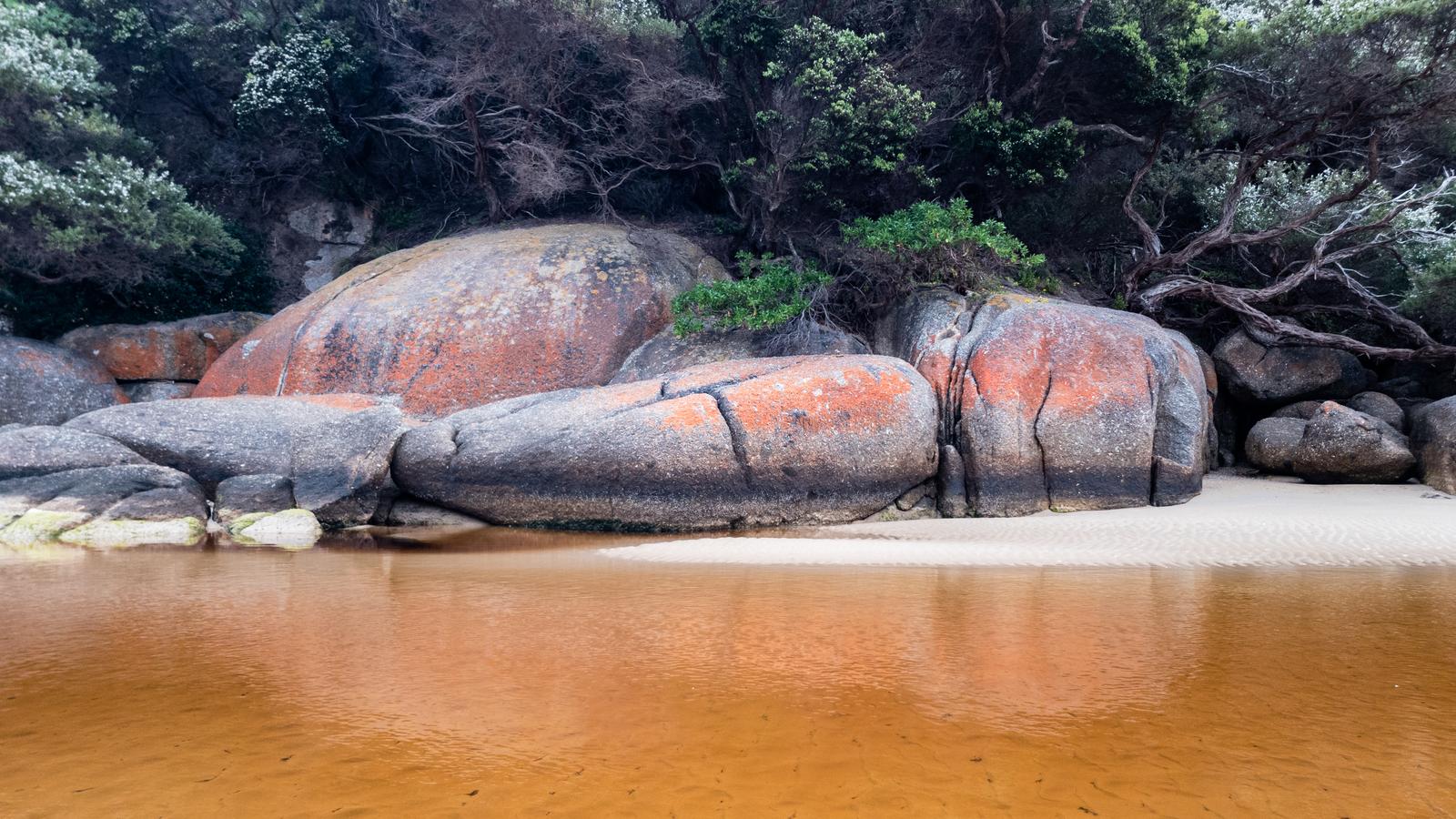 Tidal River landscape in Wilsons Promontory, Gippsland