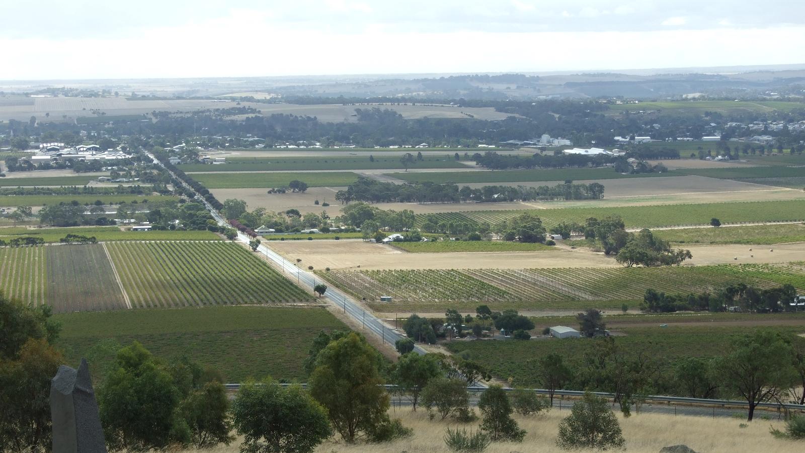 Elevated view across vineyards and farmland in the Barossa Valley
