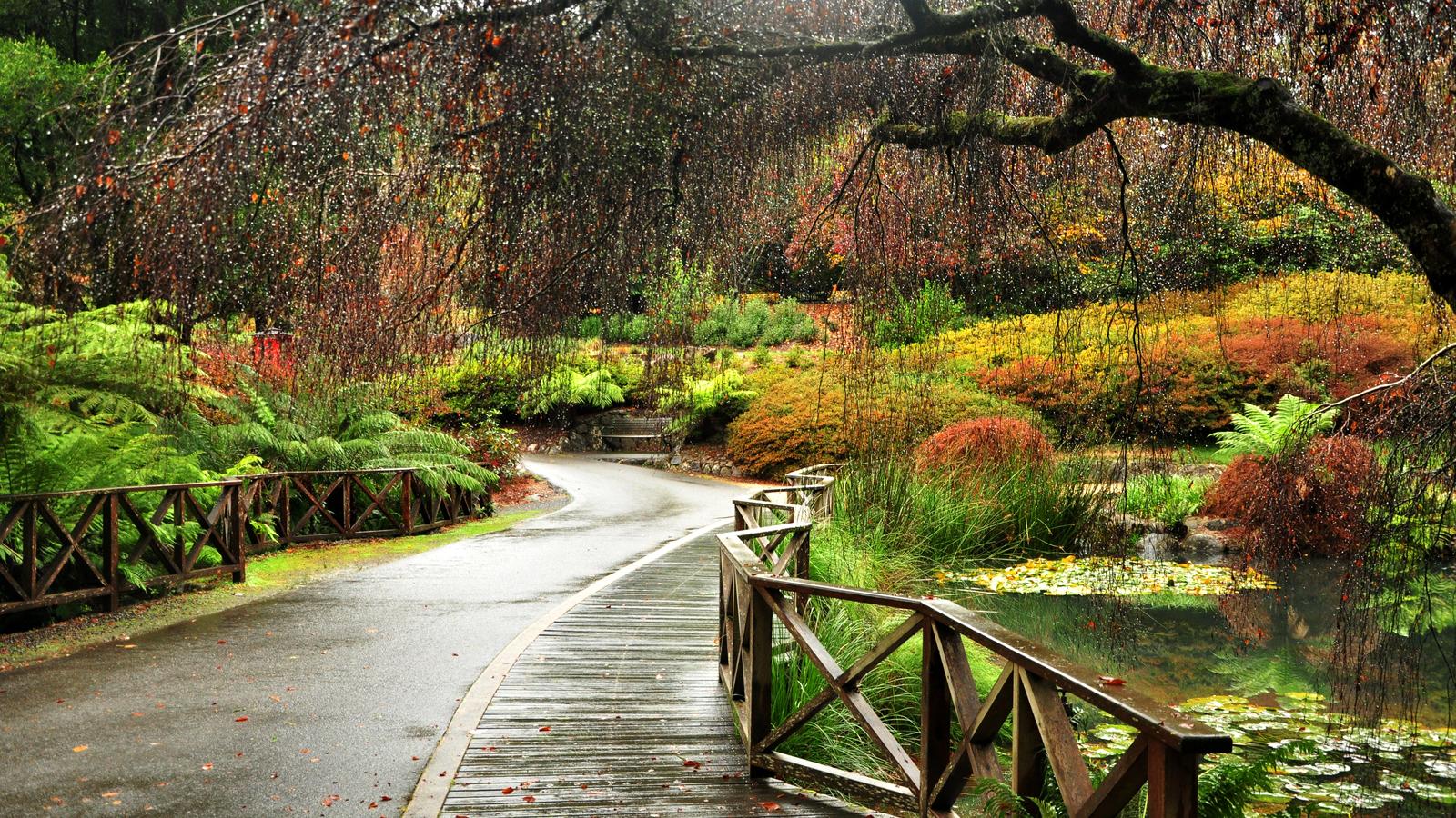 Autumn garden landscape in the Dandenong Ranges