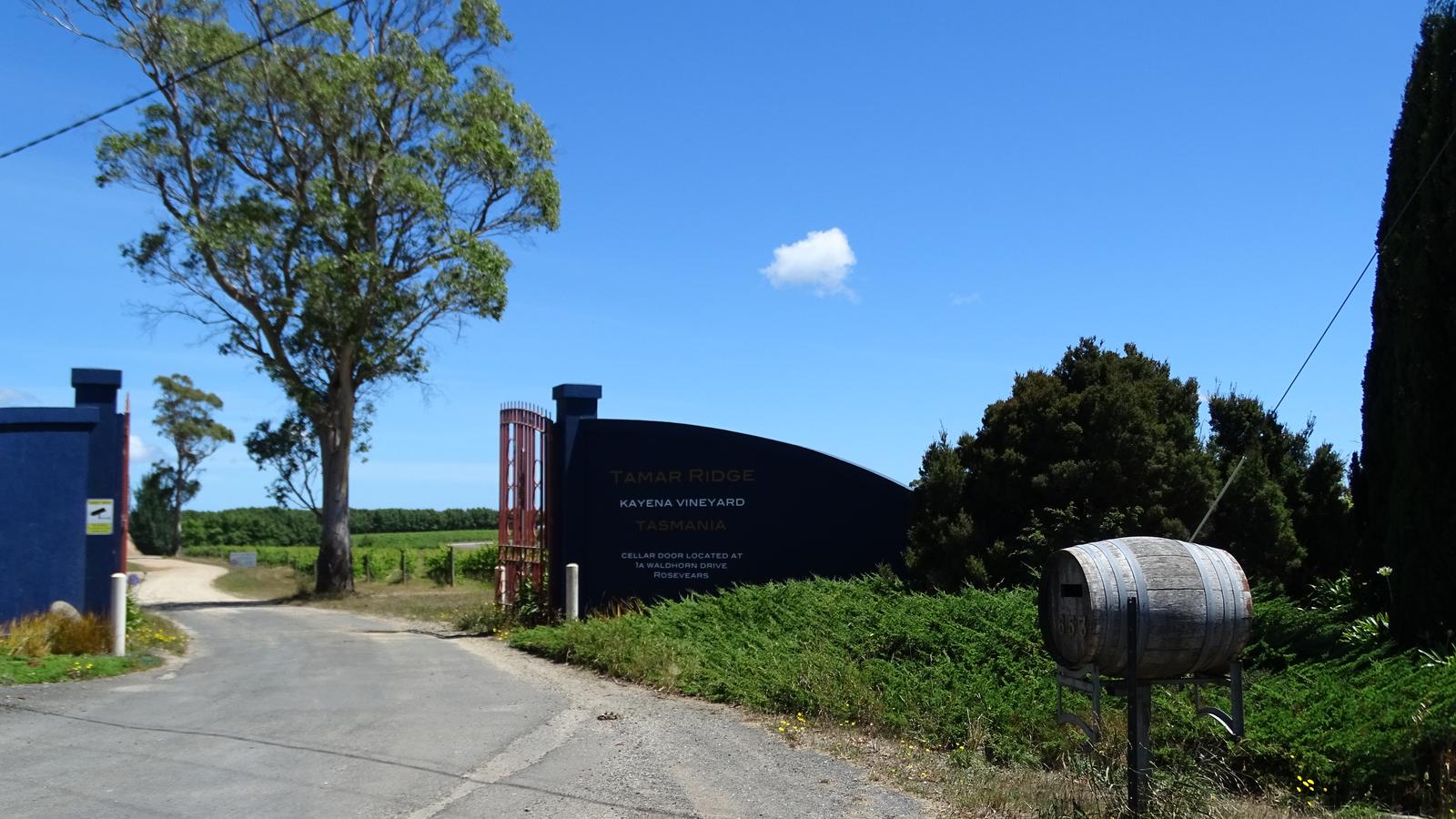 Entrance sign and vine rows at Kayena Vineyard in Tasmania's Tamar Valley