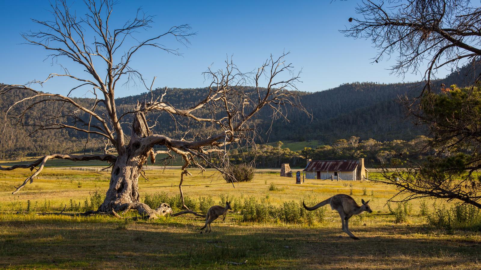 Orroral Homestead in the Australian Capital Territory
